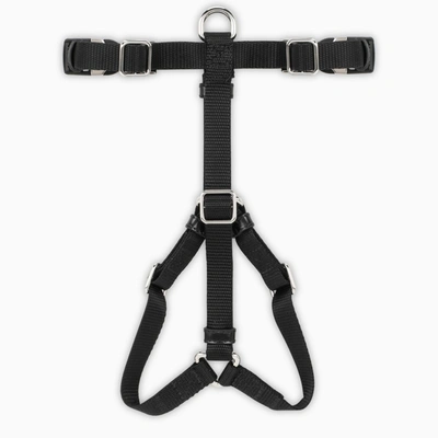 Prada dog online harness