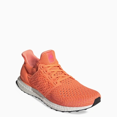 Shop Adidas Originals Orange Ultraboost Clima Dna Sneakers In Black