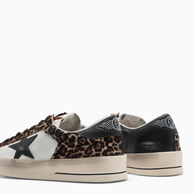 Shop Golden Goose Leopard Stardan Low Sneakers In Brown