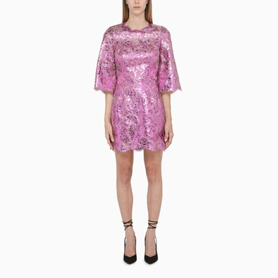 Shop Dolce & Gabbana Fuchsia Lace Sheer Minidress In Pink