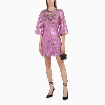 Shop Dolce & Gabbana Fuchsia Lace Sheer Minidress In Pink