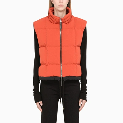 Shop Moncler Orange Demetria Waistcoat