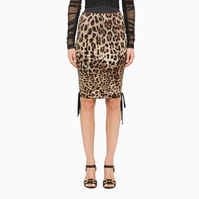 Shop Dolce & Gabbana Leopard-print Pencil Skirt