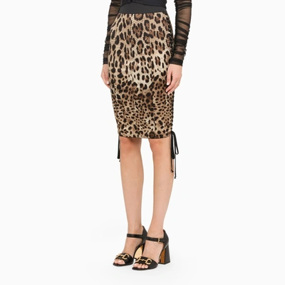 Shop Dolce & Gabbana Leopard-print Pencil Skirt