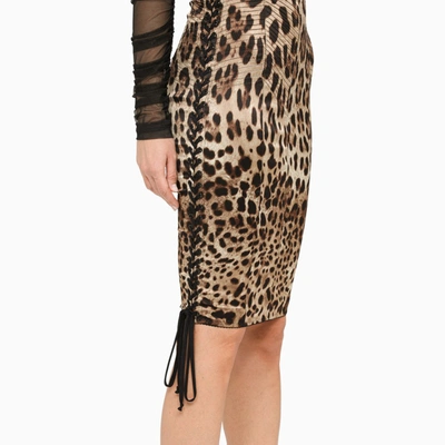 Shop Dolce & Gabbana Leopard-print Pencil Skirt