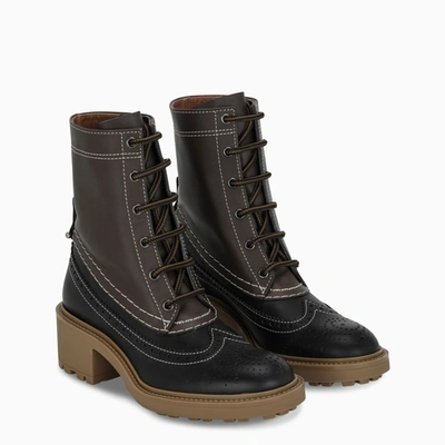 Shop Chloé Black/brown Lace-up Ankle Boots