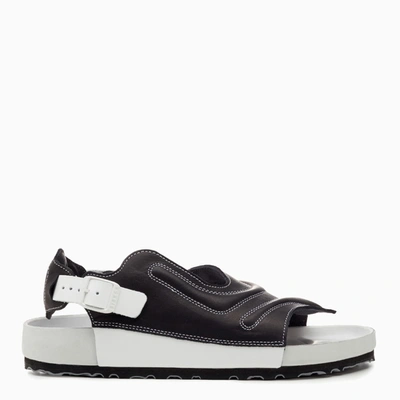 Shop Birkenstock X Csm Black/white Terra By Saskia Lenaerts Sandals