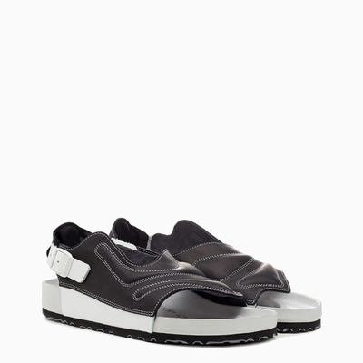 Shop Birkenstock X Csm Black/white Terra By Saskia Lenaerts Sandals