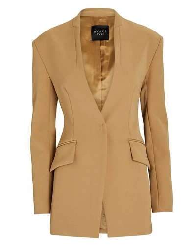 Shop A.w.a.k.e. Collarless Single-breasted Blazer In Brown