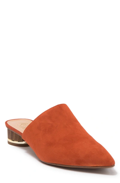 Shop Franco Sarto Viola Pointed Toe Mule In Autumn Orange