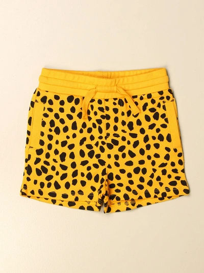 Shop Stella Mccartney Leopard Print Jogging Shorts In Multicolor