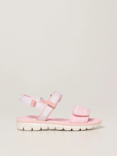 Shop Dolce & Gabbana Sandals With Logo In Pink