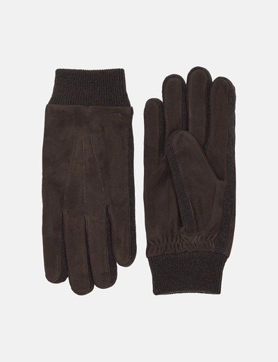 Shop Hestra Geoffrey Gloves In Brown