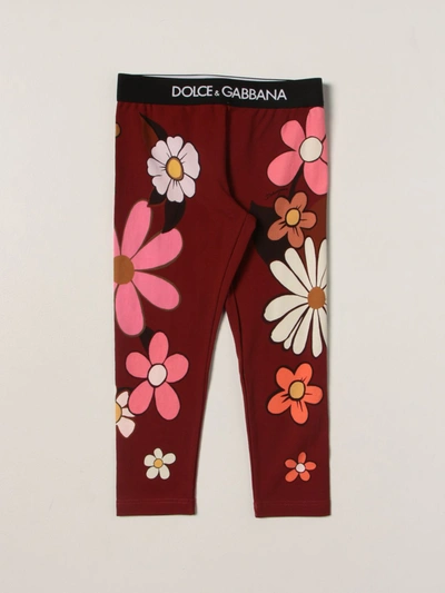 Shop Dolce & Gabbana Floral Patterned Leggings In Red