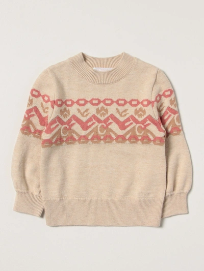 Shop Chloé Jumper With Embroidery In Beige
