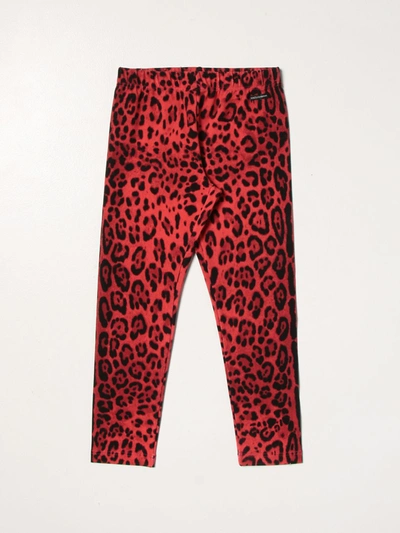 Shop Dolce & Gabbana Animalier Leggings In Red