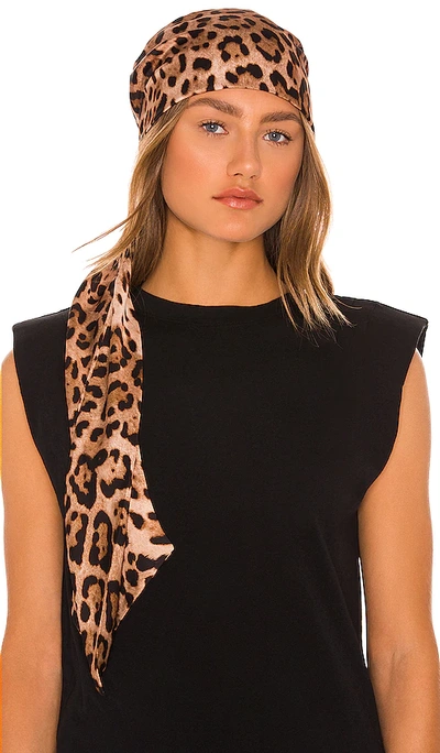 Shop Eugenia Kim Gigi Headscarf In Camel & Black