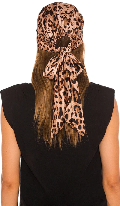 Shop Eugenia Kim Gigi Headscarf In Camel & Black