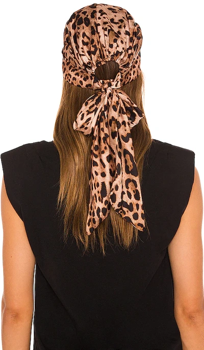 Eugenia Kim Gigi Leopard Print Satin Headscarf In Camel & Black