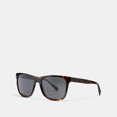 Shop Coach Leroy Sunglasses In Brown