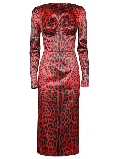 Shop Dolce & Gabbana Leopard Print Dress In Red/black