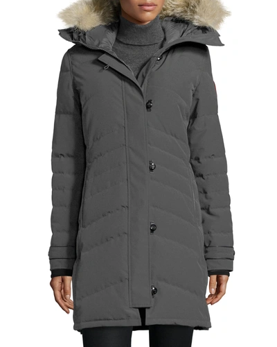 Shop Canada Goose Lorette Fur-hood Down Parka Coat In Graphite