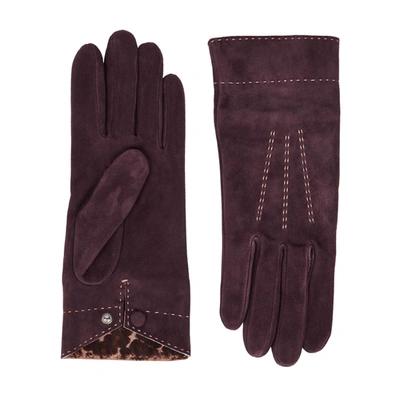 Shop Agnelle Emma Burgundy Suede Gloves