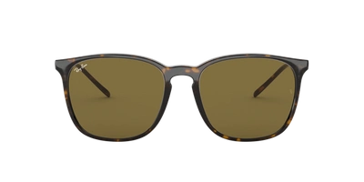 Ray Ban Ray In Brown Classic