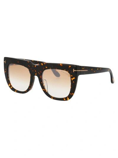 Shop Tom Ford Sunglasses In 55g Dark Havana