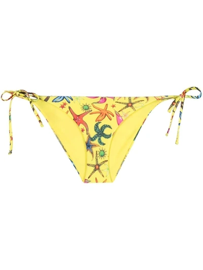 Shop Versace Trésor De La Mer-print Bikini Bottoms In Yellow