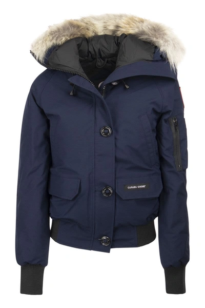 Shop Canada Goose Chilliwack - Bomber Jacket With Hood Lining In Atlantic Navy