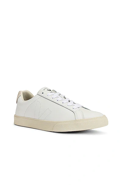 Shop Veja Esplar Sneaker In Extra White