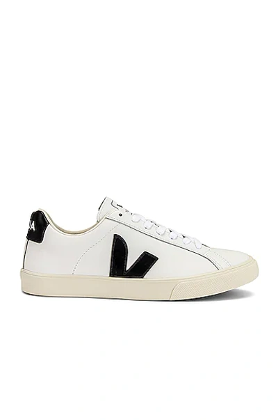 Shop Veja Esplar Logo Sneaker In Extra White & Black