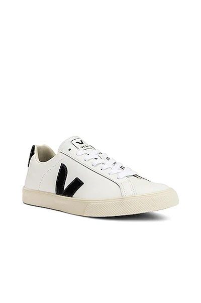 Shop Veja Esplar Logo Sneaker In Extra White & Black