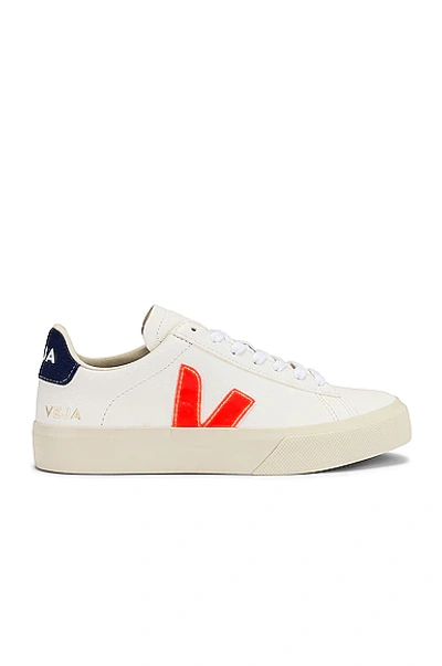 Shop Veja Campo Sneaker In White  Orange  & Cobalt