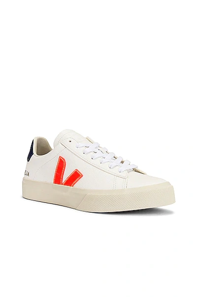 Shop Veja Campo Sneaker In White  Orange  & Cobalt