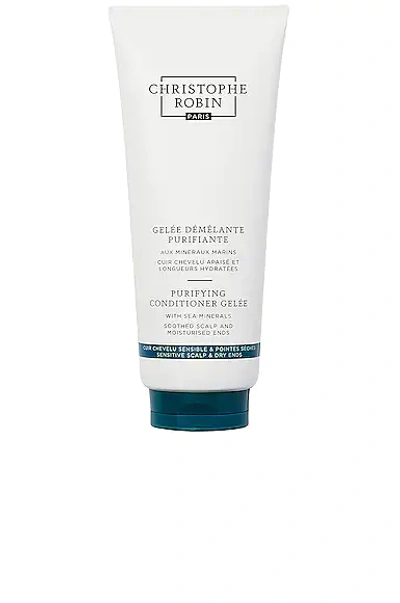 Shop Christophe Robin Purifying Conditioner Gelee In N,a