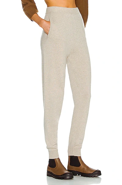 Shop Max Mara Delta Pant In Beige