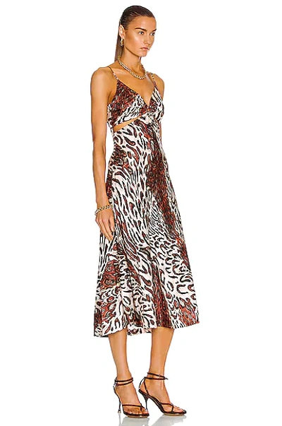 Shop Jonathan Simkhai Standard Eliza Slip Dress In Champagne Abstract Leopard