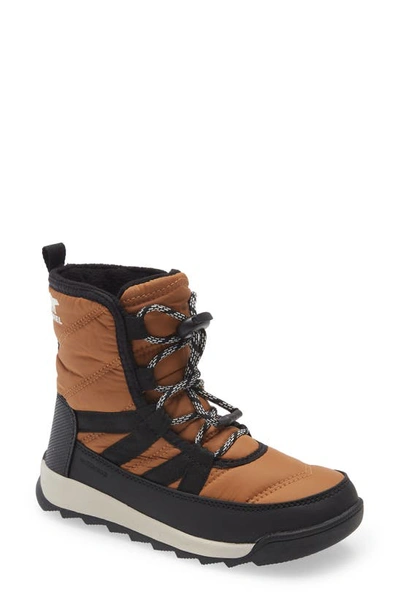 Shop Sorel Kids' Whitney™ Ii Short Waterproof Insulated Boot In Elk/ Black