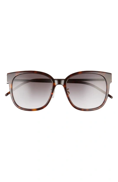 Saint Laurent 57mm Cat Eye Sunglasses In Havana