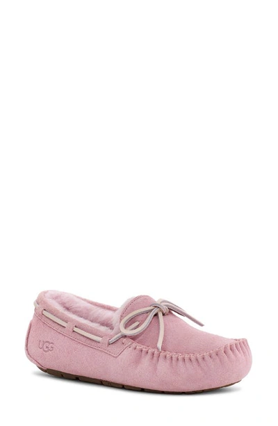 Shop Ugg Dakota Slipper In Shell