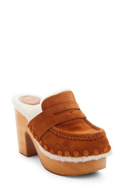Chloé Joy Suede Block-heel Clogs In Caramello