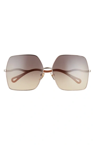 Shop Chloé 64mm Square Sunglasses In Beige