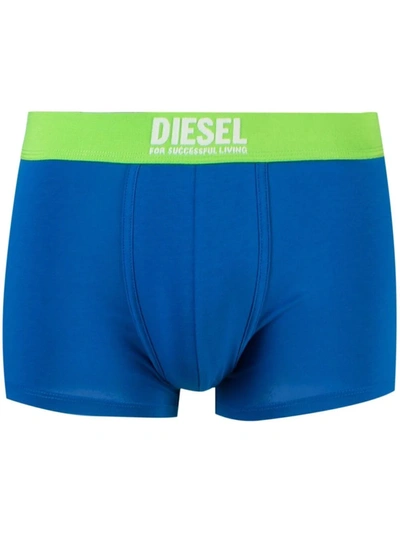 Shop Diesel Green Label Boxer Briefs In Blue