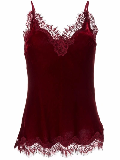 Gold Hawk Red Lace-trim Camisole Top In Red