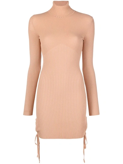 Shop Adamo Roll-neck Ribbed Knit Dress In Brown