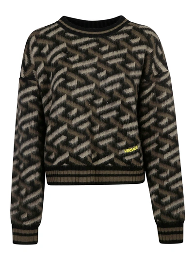Shop Versace Cropped Sweater In Khaki/black