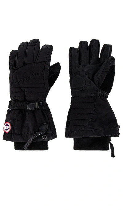 Shop Canada Goose Ladies Down Gloves In 블랙