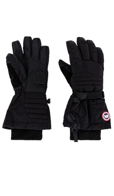 Shop Canada Goose Ladies Down Gloves In 블랙